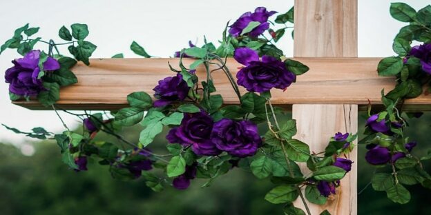 cremation services Columbia MD